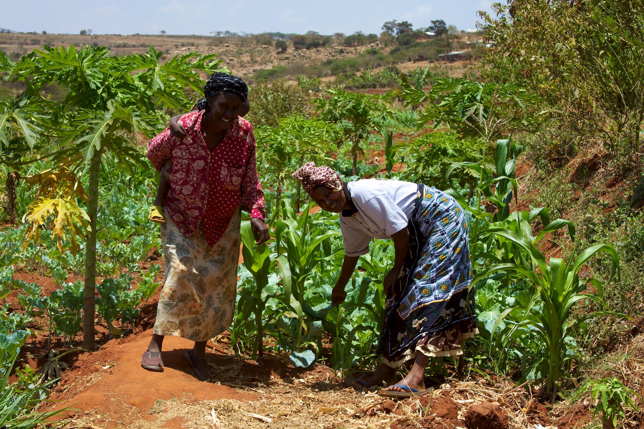 Two female farmers on the farm