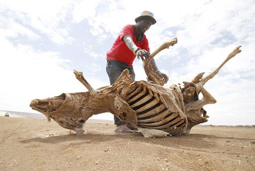 Drought in Taita Taveta