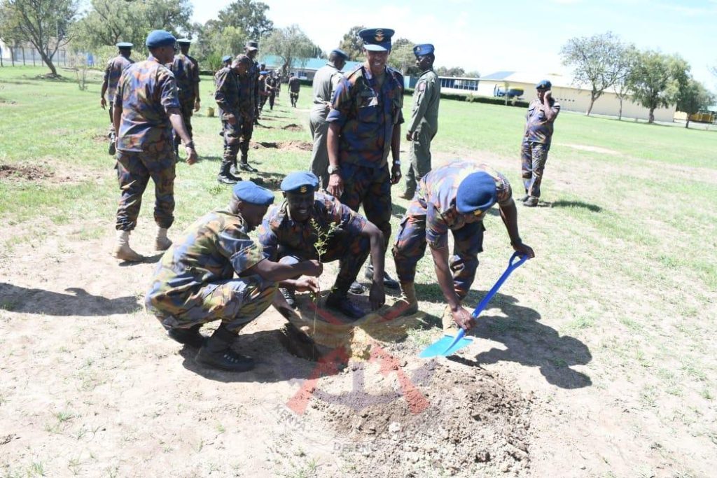 Kdf tree planting Laikipia