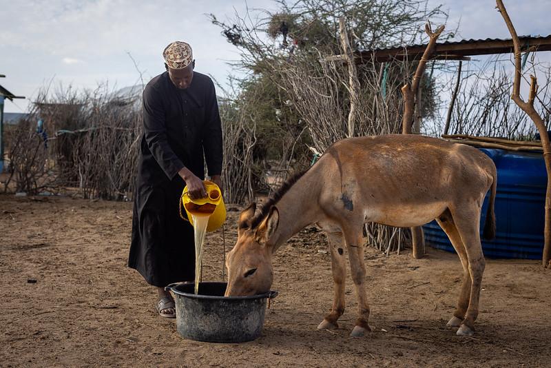 UN drought appeal 2023